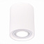 Светильник потолочный ST Luce Gipsum ST156.502.01 50Вт GU10