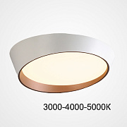 Светильник потолочный ImperiumLOFT Toronto 223860-23 48Вт LED