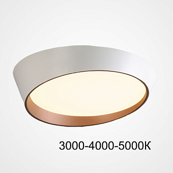 Светильник потолочный ImperiumLOFT Toronto 223860-23 48Вт LED