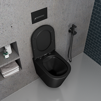 Унитаз подвесной D&K Venice DT1026025 безободковый с микролифтом