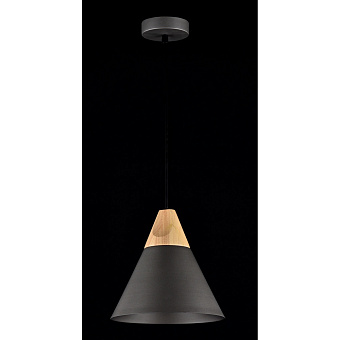 Светильник подвесной Maytoni Bicones P359-PL-220-C 60Вт E27