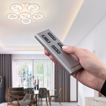 Пульт управления Elektrostandard a043622 Y11