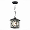 Светильник подвесной ST Luce LORNE SL084.403.01 60Вт E27