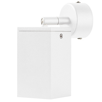 Светильник настенно-потолочный Lightstar Rullo RB336 50Вт GU10