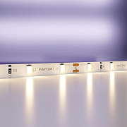 Светодиодная лента Maytoni 20007 4,8Вт/м 5000мм IP20 тёплый свет