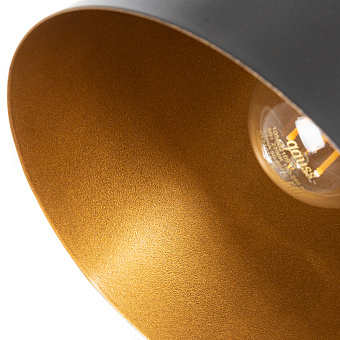 Бра Arte Lamp THOMAS A7032AP-1BK 60Вт E27