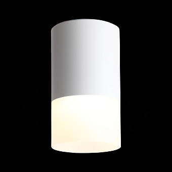 Светильник точечный накладной ST Luce OTTU ST100.542.05 5Вт LED