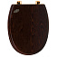 Сиденье для унитаза SIMAS AR009noce/oro с микролифтом