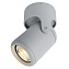 Светильник потолочный Arte Lamp LIBRA A3316PL-1GY 50Вт GU10
