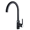 Смеситель для кухни Maxonor PL4093-7 поворотный излив чёрный