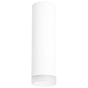 Светильник потолочный Lightstar Rullo R649680 50Вт GU10