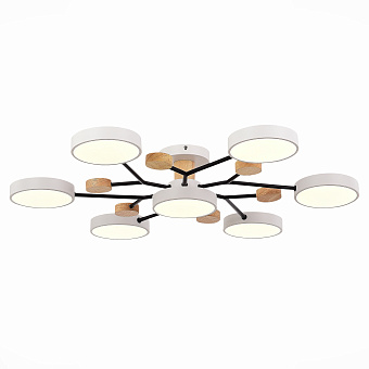 Светильник потолочный Evoluce FAEMA SLE6006-502-07 84Вт LED