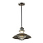 Светильник подвесной Odeon NATURE 4164/1 60Вт E27