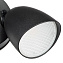 Светильник фасадный Lightstar Diva 374447 20Вт IP54 LED чёрный