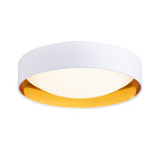 Светильник потолочный Evoluce ORBIO SLE201122-01 24Вт LED