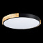Светильник потолочный Evoluce DELIA SLE201342-01 40Вт LED