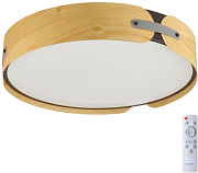 Светильник потолочный Sonex CORAGGIO 7721/100L 100Вт LED