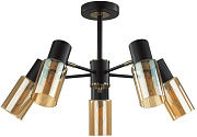 Люстра потолочная Lumion RONNIE 5644/5C 200Вт 5 лампочек E14