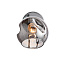 Светильник настенный Evoluce GENTORE SLE155101-01 60Вт E14