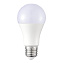 Светодиодная лампа ST Luce ST9100.279.09 E27 9Вт 2700/6500К