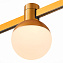 Магнитный трековый светильник ST Luce FARM ST815.206.05 5Вт LED белый