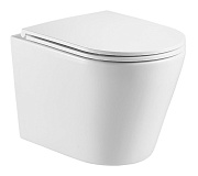 Унитаз подвесной Azario Teramo AZ-0053-UQ безободковый с микролифтом
