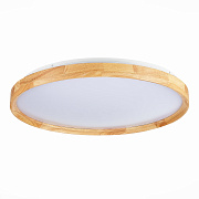 Светильник потолочный Evoluce DELIA SLE201382-01 40Вт LED