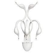 Бра Lightstar Cigno Collo 751656 100Вт G4