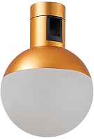 Магнитный трековый светильник ST Luce FARM ST815.206.05 5Вт LED белый