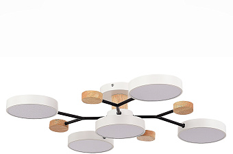 Светильник потолочный Evoluce FAEMA SLE6006-502-05 60Вт LED