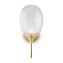 Бра Maytoni Aura MOD016WL-01BS 60Вт E14