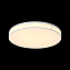 Люстра потолочная ST Luce FELLA SL417.512.01 60Вт 1 лампочек LED