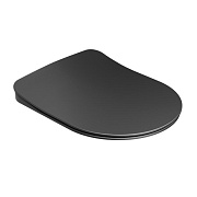Сиденье для унитаза RAVAK X01795 с микролифтом