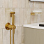 Гигиенический душ WASSERKRAFT Встраиваемая продукция A70838 золотой