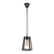 Светильник подвесной Loft It Modern Filament Loft1127 60Вт E27