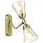 Бра ImperiumLOFT Ivo 167575-26 14Вт E14