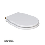 Сиденье для унитаза CAPRIGO KFe-IB-B231 с микролифтом
