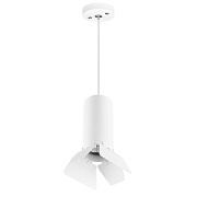 Светильник подвесной Lightstar RULLO RP486436 50Вт GU10