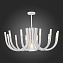 Люстра потолочная ST Luce PAFE SL1173.502.13 120Вт 13 лампочек G4/E27