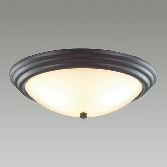 Светильник настенно-потолочный Lumion KAYLA 5263/3C 180Вт E27