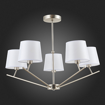 Светильник потолочный Evoluce DENICE SLE300102-05 200Вт E14