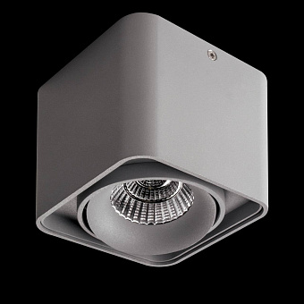 Светильник точечный накладной Lightstar Monocco 52319 10Вт LED