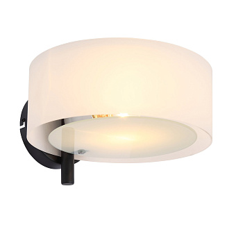 Светильник настенный Evoluce FORESTA SL483.401.01 60Вт E27