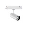 Трековый светильник IDEAL LUX FOX 302584 15Вт LED белый для трёхфазного трека