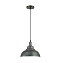 Светильник подвесной Lumion DARIO 3676/1 60Вт E27