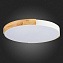 Светильник потолочный Evoluce DELIA SLE201352-01 40Вт LED