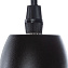 Светильник подвесной Arte Lamp BRACCIO A2054SP-1BK 60Вт E27