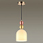 Светильник подвесной Lumion SUSPENTIONI 4589/1A 60Вт E27
