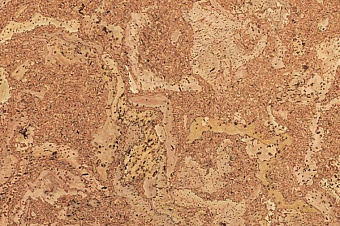 Пробковый пол CORKSTYLE ECOCORK-GLUE 915х305х6мм Madeira Madeira_GLUE 3,36кв.м
