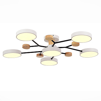 Светильник потолочный Evoluce FAEMA SLE6006-502-06 72Вт LED